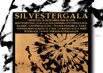 Silvesterfeuerwerk
